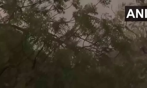 जयपुर में तेज आंधी और भारी बारिश, IMD का येलो अलर्ट जारी जयपुर में तेज आंधी और भारी बारिश, IMD का येलो अलर्ट जारी