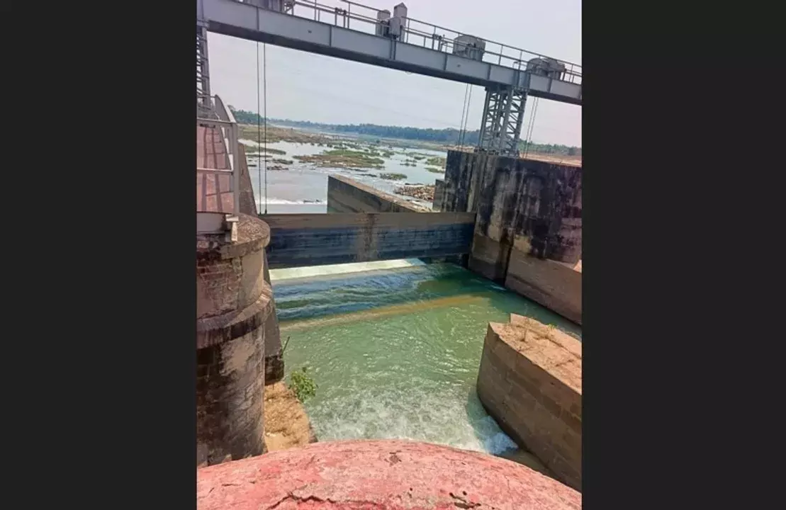 Odisha : भद्रक में एनीकट में एक युवक की डूबने से मौत हो गई Odisha : भद्रक में एनीकट में एक युवक की डूबने से मौत हो गई