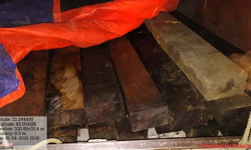 लकड़ी के अवैध परिवहन पर कार्रवाई, पिकअप जब्त