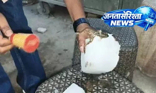 मेंढक जमा बर्फ में, जूस सेंटर में हड़कंप