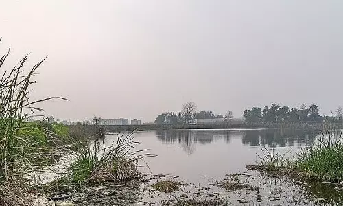 BMC ने मुंबई में खो चुके कुदरती तालाबों की पहचान और पुनर्जीवन के लिए सर्वे का प्रस्ताव दिया BMC ने मुंबई में खो चुके कुदरती तालाबों की पहचान और पुनर्जीवन के लिए सर्वे का प्रस्ताव दिया