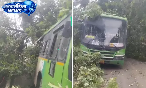 Pune : शहर में पेड़ गिरने की घटनाएँ बढ़ीं, 2014-2025 में 12,151 मामले दर्ज Pune : शहर में पेड़ गिरने की घटनाएँ बढ़ीं, 2014-2025 में 12,151 मामले दर्ज