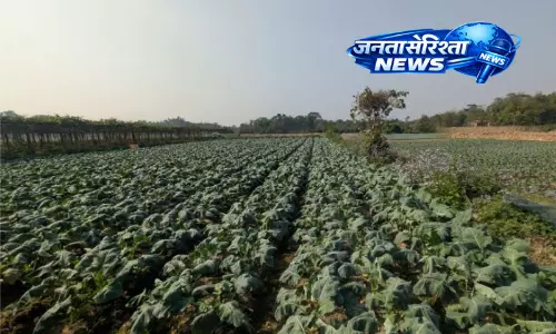 Assam : कछार जिले में किसानों की मुश्किलें बढ़ीं