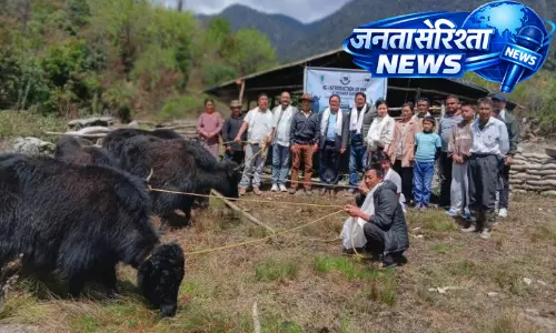 Arunachal : मेचुका ब्लॉक में याक पालन को बढ़ावा देने का कार्यक्रम सफलतापूर्वक आयोजित