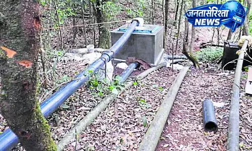 Bhadra टाइगर रिज़र्व में गैर-कानूनी गतिविधियों पर वाइल्ड कैट-सी ने चिंता जताई Bhadra टाइगर रिज़र्व में गैर-कानूनी गतिविधियों पर वाइल्ड कैट-सी ने चिंता जताई