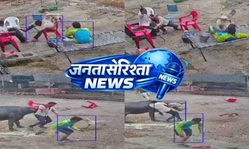 महज़ 15 सेकेंड में कुत्ते ने किया ऐसा कारनामा, मची अफरा-तफरी महज़ 15 सेकेंड में कुत्ते ने किया ऐसा कारनामा, मची अफरा-तफरी