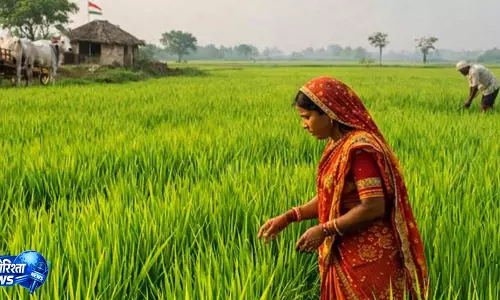 ग्लोबल राजस्थान एग्रीटेक मीट ग्राम -2026 से पहले Rajasthan में राष्ट्रव्यापी रोड शो किए जाएंगे आयोजित