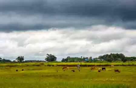 एनसीआर में 8 अप्रैल तक बिगड़ा रहेगा मौसम, तेज हवाएं, बारिश और ओलावृष्टि से फसलों को नुकसान एनसीआर में 8 अप्रैल तक बिगड़ा रहेगा मौसम, तेज हवाएं, बारिश और ओलावृष्टि से फसलों को नुकसान