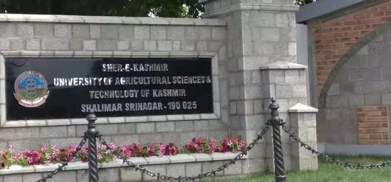 SKUAST-K NTEA ने VC की दूरदर्शी पहल की सराहना की SKUAST-K NTEA ने VC की दूरदर्शी पहल की सराहना की
