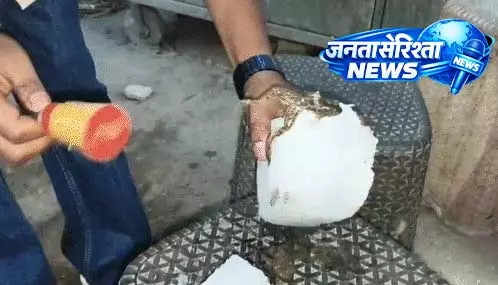 मेंढक जमा बर्फ में, जूस सेंटर में हड़कंप मेंढक जमा बर्फ में, जूस सेंटर में हड़कंप