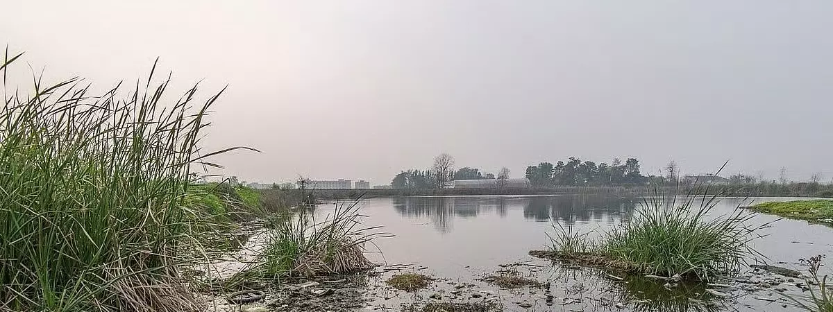 BMC ने मुंबई में खो चुके कुदरती तालाबों की पहचान और पुनर्जीवन के लिए सर्वे का प्रस्ताव दिया BMC ने मुंबई में खो चुके कुदरती तालाबों की पहचान और पुनर्जीवन के लिए सर्वे का प्रस्ताव दिया