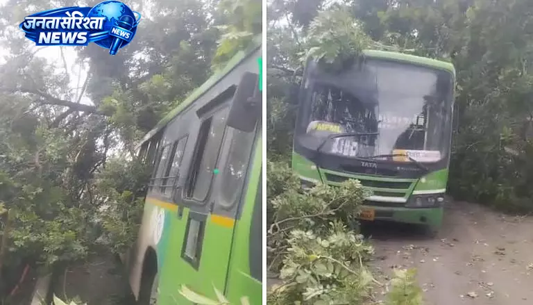 Pune : शहर में पेड़ गिरने की घटनाएँ बढ़ीं, 2014-2025 में 12,151 मामले दर्ज Pune : शहर में पेड़ गिरने की घटनाएँ बढ़ीं, 2014-2025 में 12,151 मामले दर्ज