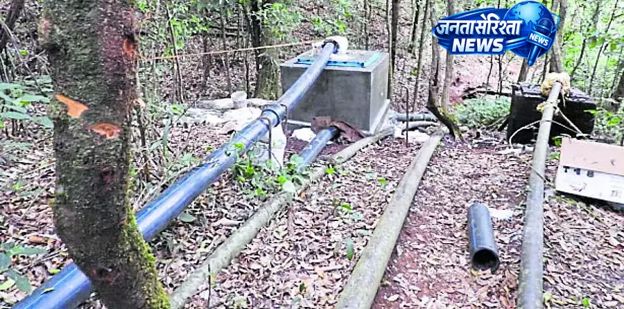 Bhadra टाइगर रिज़र्व में गैर-कानूनी गतिविधियों पर वाइल्ड कैट-सी ने चिंता जताई Bhadra टाइगर रिज़र्व में गैर-कानूनी गतिविधियों पर वाइल्ड कैट-सी ने चिंता जताई