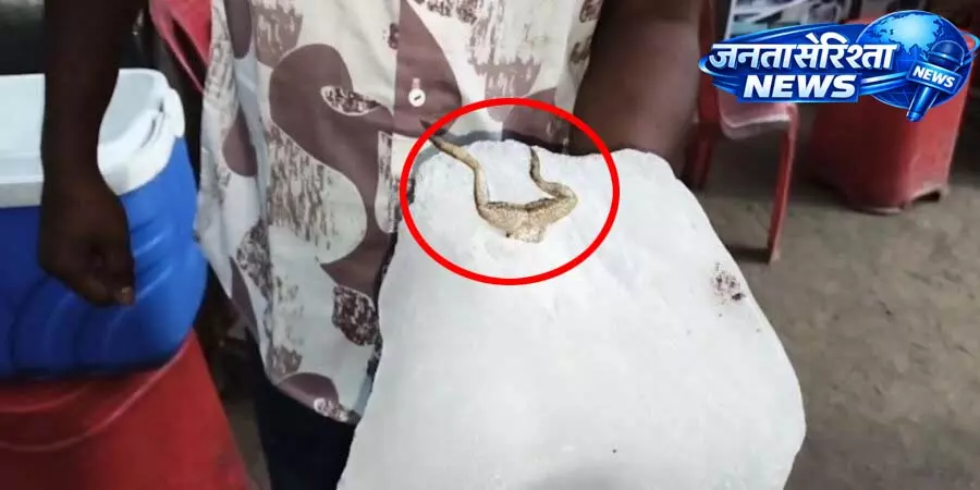 गन्ना जूस की दुकान के बर्फ में मिला मरा हुआ मेंढक, देखें VIDEO... गन्ना जूस की दुकान के बर्फ में मिला मरा हुआ मेंढक, देखें VIDEO...