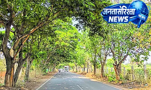 Karnataka : सड़क किनारे पेड़ गर्मियों में राहत और ठंडक का सबसे बड़ा जरिया Karnataka : सड़क किनारे पेड़ गर्मियों में राहत और ठंडक का सबसे बड़ा जरिया