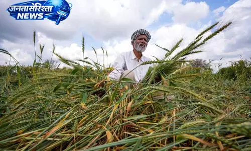 Punjab: मालवा जिले में मौसम ने किसानों की चिंता बढ़ाई