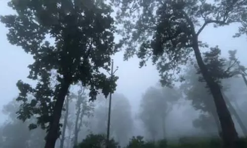 उद्योगपति आनंद महिंद्रा को भाया झारखंड का मेघाहातुबुरू उद्योगपति आनंद महिंद्रा को भाया झारखंड का मेघाहातुबुरू