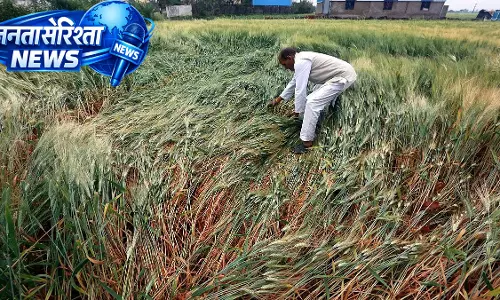 Beed जिले में तेज़ हवाओं और बेमौसम बारिश से भारी तबाही, किसान और ग्रामीण परेशान Beed जिले में तेज़ हवाओं और बेमौसम बारिश से भारी तबाही, किसान और ग्रामीण परेशान