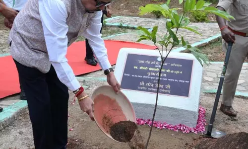 राज्यपाल रमेन डेका ने जशपुर के मातृत्व वन में किया सीता अशोक के पौधे का रोपण राज्यपाल रमेन डेका ने जशपुर के मातृत्व वन में किया सीता अशोक के पौधे का रोपण