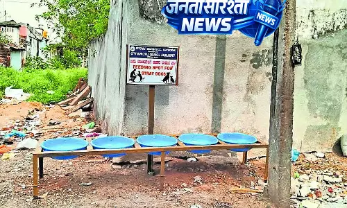 Karnataka : आवारा कुत्तों के लिए भोजन स्थान Karnataka : आवारा कुत्तों के लिए भोजन स्थान