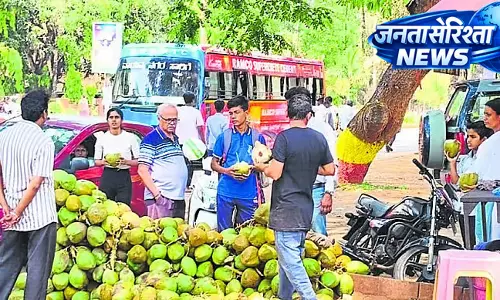 Heatwave : नारियल पानी, तरबूज की मांग Heatwave : नारियल पानी, तरबूज की मांग