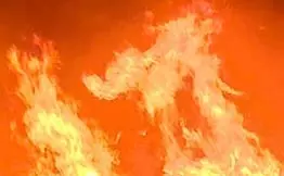 महिला ने जेठानियों की हत्या की कोशिश की, ताने सुन-सुनकर थी परेशान महिला ने जेठानियों की हत्या की कोशिश की, ताने सुन-सुनकर थी परेशान