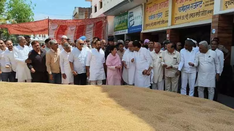 Karnal कांग्रेस सांसद शैलजा का बयान: राज्य सरकार किसानों को परेशान कर रही Karnal कांग्रेस सांसद शैलजा का बयान: राज्य सरकार किसानों को परेशान कर रही