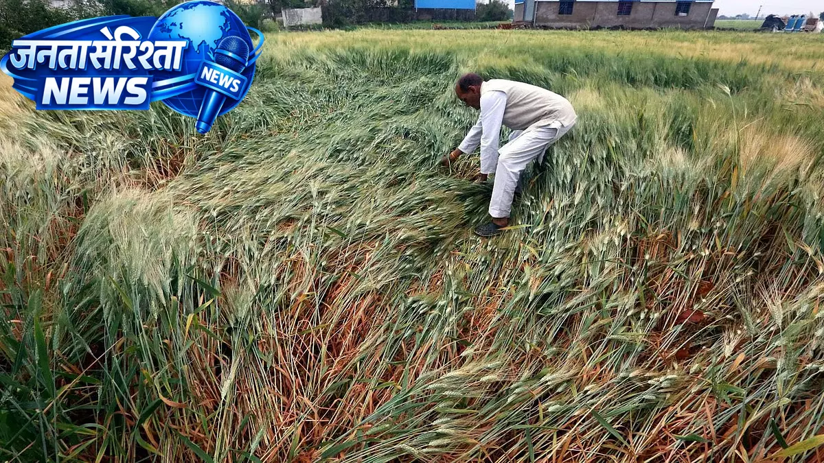 Beed जिले में तेज़ हवाओं और बेमौसम बारिश से भारी तबाही, किसान और ग्रामीण परेशान Beed जिले में तेज़ हवाओं और बेमौसम बारिश से भारी तबाही, किसान और ग्रामीण परेशान