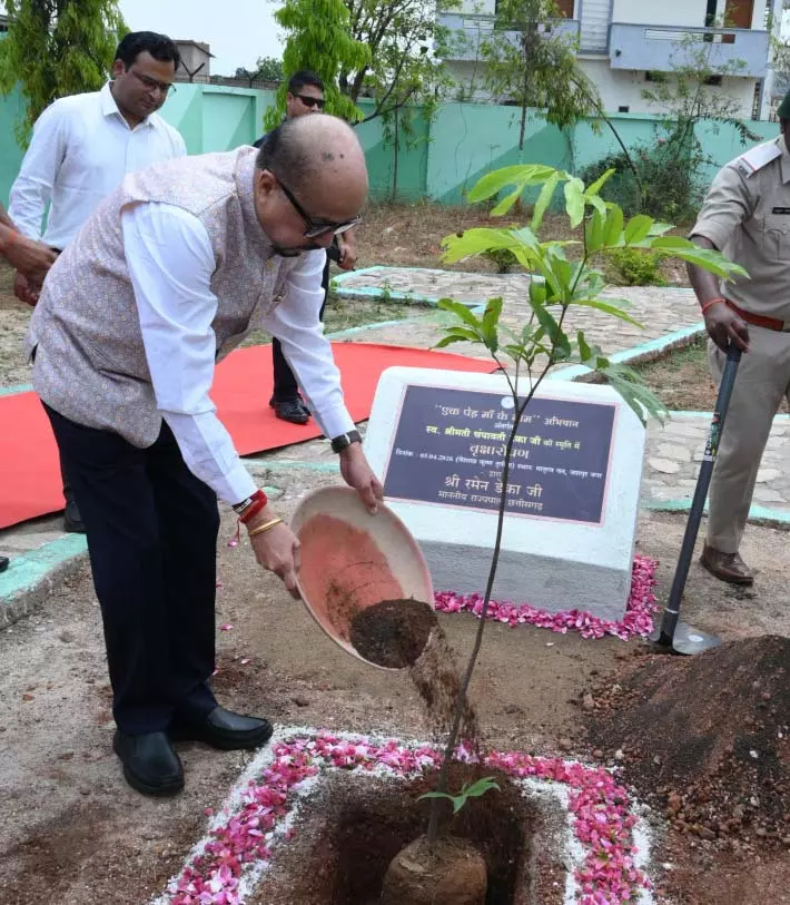 राज्यपाल रमेन डेका ने जशपुर के मातृत्व वन में किया सीता अशोक के पौधे का रोपण राज्यपाल रमेन डेका ने जशपुर के मातृत्व वन में किया सीता अशोक के पौधे का रोपण