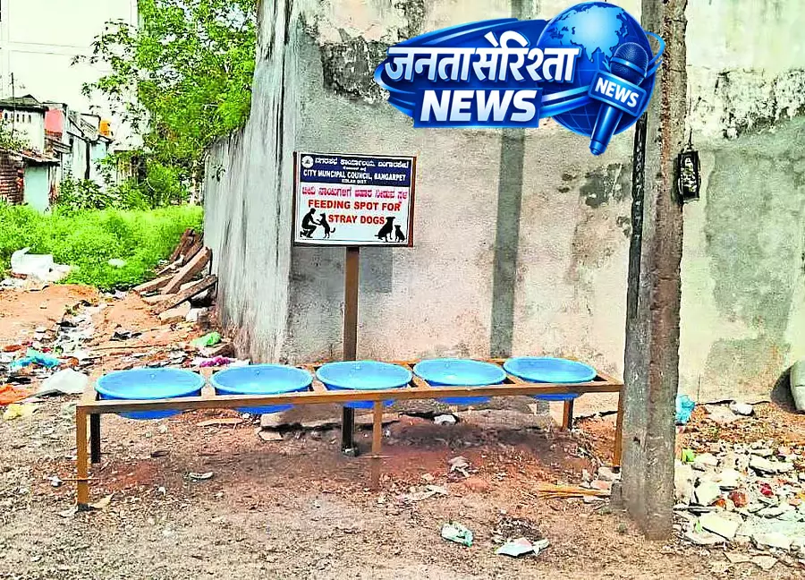 Karnataka : आवारा कुत्तों के लिए भोजन स्थान Karnataka : आवारा कुत्तों के लिए भोजन स्थान
