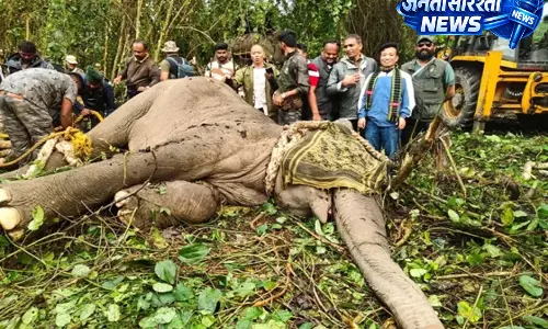 SUNPURA: हाथियों के हमलों के लिए जिम्मेदार बदमाश को पकड़ा गया SUNPURA: हाथियों के हमलों के लिए जिम्मेदार बदमाश को पकड़ा गया