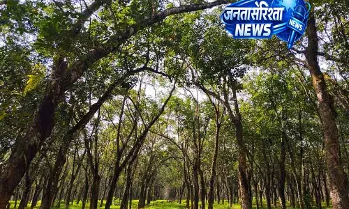 Delhi सरकार बनाएगी ग्रीन फंड खर्च का नक्शा