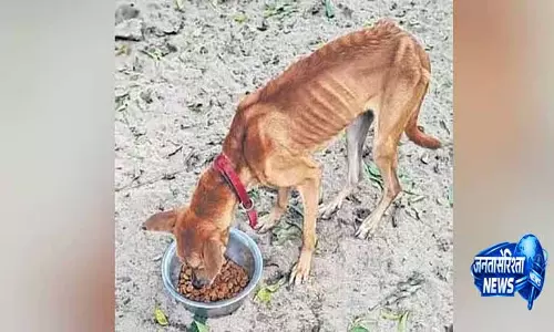 Karnataka में पशु आश्रयों में LPG की कमी