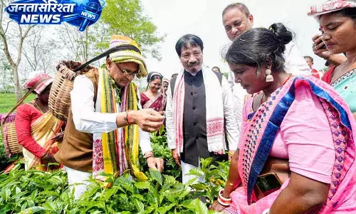 Punjab: तूफान अलर्ट के बीच फसल नुकसान सर्वे के आदेश
