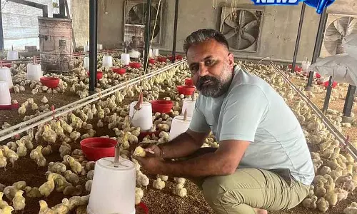 पोल्ट्री से बदली किस्मत, Amritsar के युवा किसान की सफलता