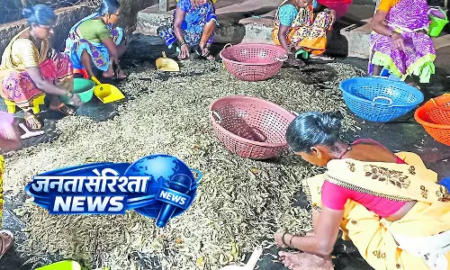Karnataka : गर्मियों में समुद्री मछलियों के कम और महंगे होने के बीच Karnataka : गर्मियों में समुद्री मछलियों के कम और महंगे होने के बीच