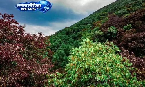Himachal: पर्यावरणीय संतुलन के लिए ग्रीन कवर मिशन 32%
