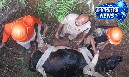 Kerala : फायरफाइटर्स ने सेप्टिक टैंक में गिरी गाय को बचाया Kerala : फायरफाइटर्स ने सेप्टिक टैंक में गिरी गाय को बचाया