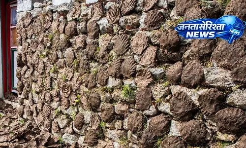 UP के युवा उद्यमी ने हरदोई में CBG प्लांट लगाकर एनर्जी संकट को दी नई दिशा UP के युवा उद्यमी ने हरदोई में CBG प्लांट लगाकर एनर्जी संकट को दी नई दिशा