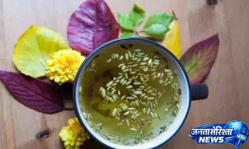 पाचन तंत्र को स्वस्थ रखने के लिए ये Natural Drinks बनाएं, जानें इन्हें बनाने का तरीका पाचन तंत्र को स्वस्थ रखने के लिए ये Natural Drinks बनाएं, जानें इन्हें बनाने का तरीका