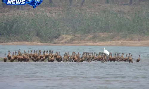 मसोरा जलाशय बनेगा पर्यटन का नया केंद्र मसोरा जलाशय बनेगा पर्यटन का नया केंद्र