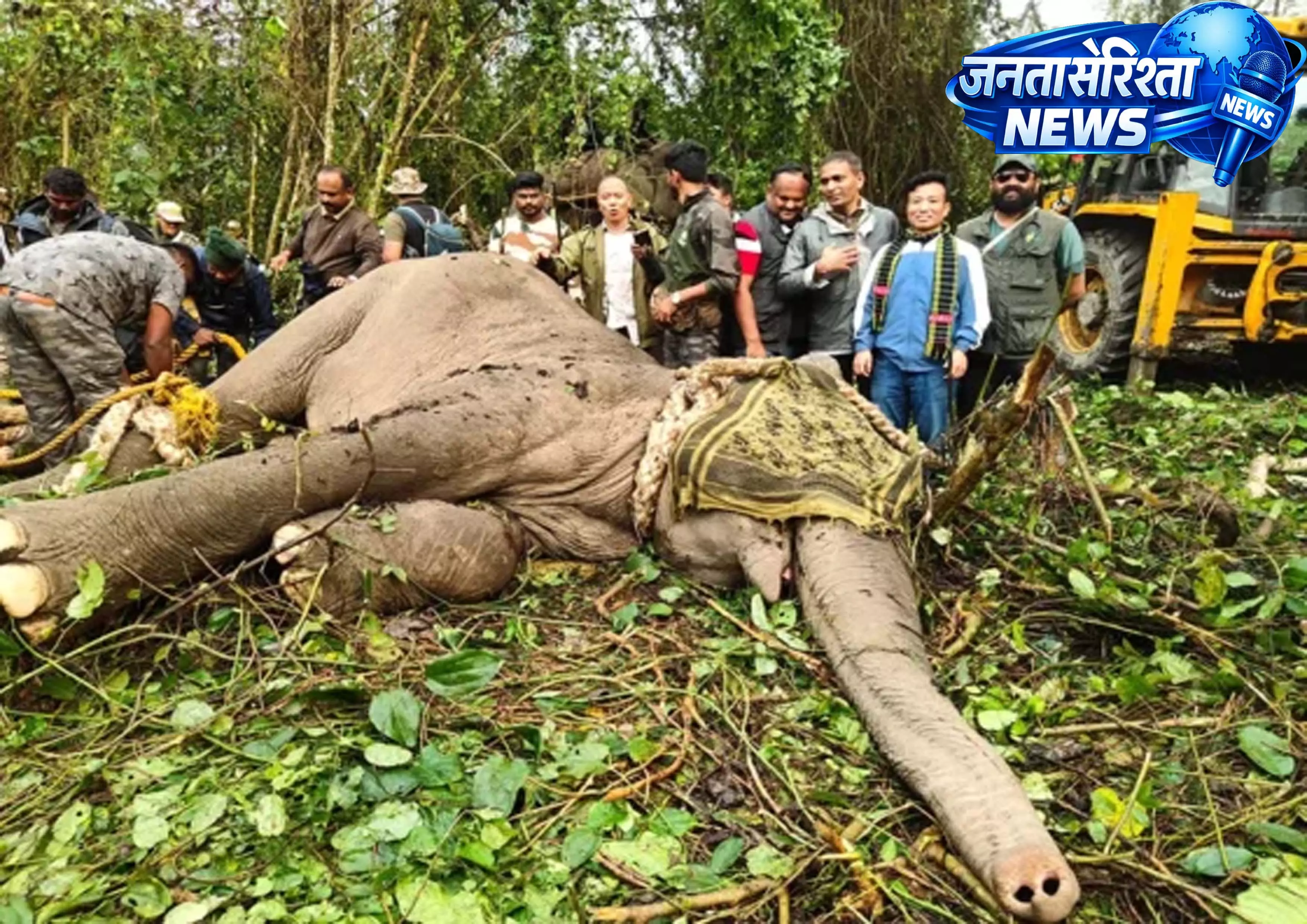 SUNPURA: हाथियों के हमलों के लिए जिम्मेदार बदमाश को पकड़ा गया SUNPURA: हाथियों के हमलों के लिए जिम्मेदार बदमाश को पकड़ा गया