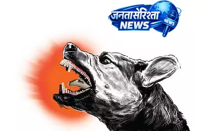 Tamil Nadu : थिरुचेंगोडे में पागल कुत्तों के काटने से 50 से अधिक लोग घायल Tamil Nadu : थिरुचेंगोडे में पागल कुत्तों के काटने से 50 से अधिक लोग घायल