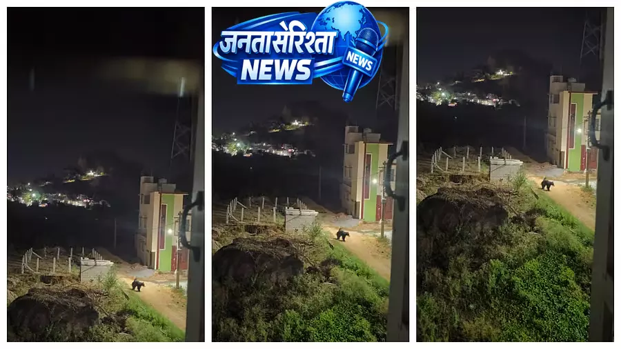 Koratagere : रिहायशी इलाके में भालू ने लोगों को डराया Koratagere : रिहायशी इलाके में भालू ने लोगों को डराया