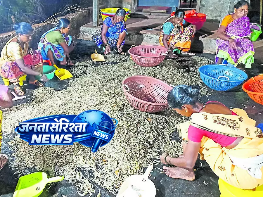 Karnataka : गर्मियों में समुद्री मछलियों के कम और महंगे होने के बीच Karnataka : गर्मियों में समुद्री मछलियों के कम और महंगे होने के बीच