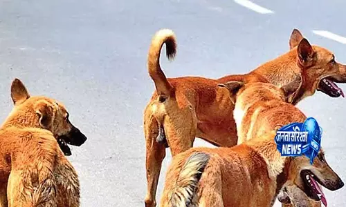 Telangana: जीएचएमसी ने जानवरों के लिए 2,850 पानी के कटोरे रखे Telangana: जीएचएमसी ने जानवरों के लिए 2,850 पानी के कटोरे रखे