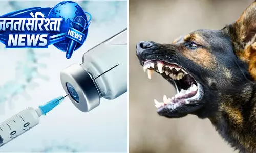 सरकारी अस्पतालों में अब Rabies का फ़्री इलाज, जानलेवा वायरल इंफ़ेक्शन से बचाव सरकारी अस्पतालों में अब Rabies का फ़्री इलाज, जानलेवा वायरल इंफ़ेक्शन से बचाव