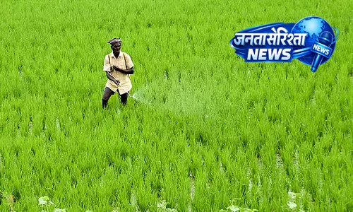 यूरिया खरीदने के लिए किसानों के लिए पहचान पत्र अनिवार्य: Agriculture Department यूरिया खरीदने के लिए किसानों के लिए पहचान पत्र अनिवार्य: Agriculture Department