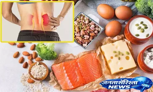 एक्सपर्ट्स का कहना है कि ज़्यादा Protein लेने से लंबे समय में किडनी खराब हो सकती एक्सपर्ट्स का कहना है कि ज़्यादा Protein लेने से लंबे समय में किडनी खराब हो सकती