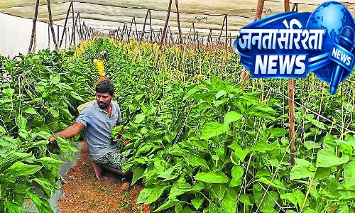 Karnataka : सब्जियों के दाम गिरे, किसान परेशान